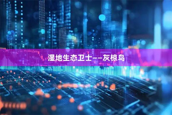 湿地生态卫士——灰椋鸟